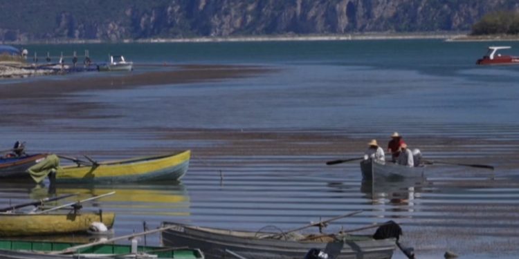 Aktivizëm Ndërkufitar: Shqiptarë, Grekë dhe Maqedonas të Bashkuar në Përpjekjen për Ruajtjen e Prespës