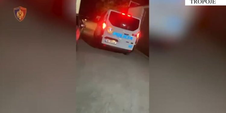 Arrestohet 25-vjeçari në Tropojë për trafikim kanabisi në Kosovë, nën hetim edhe nëna e tij për ndihmë në fshehjen e lëndës narkotike.