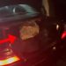 Arrestohet 46-vjeçari në Korçë, i cili po transportonte 16 kg lëndë narkotike për në Greqi; në kërkim edhe bashkëpunëtori i tij.