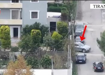 Arrestohet grupi kriminal që merrej me trafikimin në Shqipëri të veprave artistike të vjedhura nga vende të Europës, dy persona në pranga.