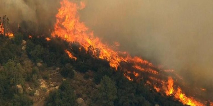 Bilanci tragjik i zjarrit në Gramsh/ Vlerësimi i dëmeve përfundon, shifra arrin në 31 milionë euro