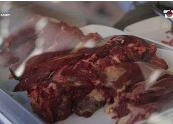 Brenda Historisë: Problemi i gjurmueshmërisë, si u lanë në treg produktet e rrezikshme para përfundimit të analizave…?!