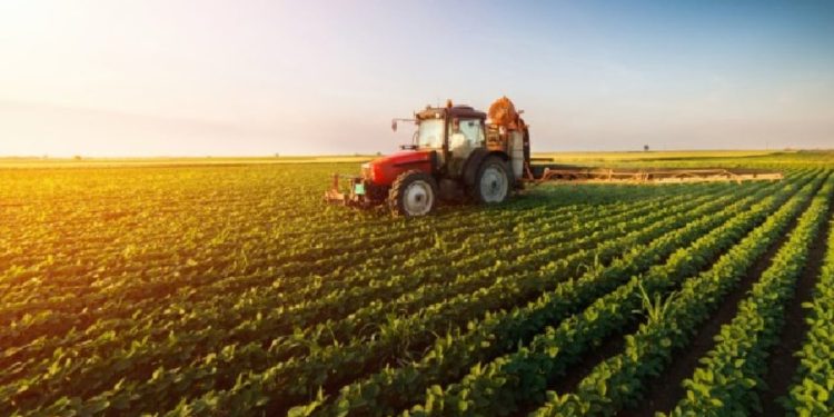 Bujqësia nevojitet për mbështetje financiare/ Skandali me fondet e IPARD ndikoi në uljen e financimeve, ekspertët: Buxhetin duhet ta financojmë.