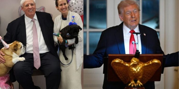 Darka elegante dhe festimet për qentë e senatorëve, rutina e presidentit Trump dhe anëtarëve të Kongresit gjatë periudhës së mbylljes së qeverisë.