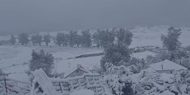 Dëborë dhe ngrica në Steblevë të Librazhdit/ Disa fshatra pa energji, aksi drejt Peshkopisë i kalueshëm vetëm me zinxhirë