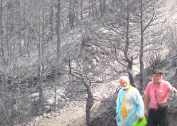 Dëmet nga zjarret arrijnë në 9.5 miliard lekë/ Vlerësimi përfundon në Delvinë, banorët do të kompensohen për humbjet e pësuara