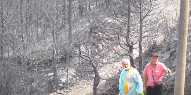 Dëmet nga zjarret arrijnë në 9.5 miliard lekë/ Vlerësimi përfundon në Delvinë, banorët do të kompensohen për humbjet e pësuara