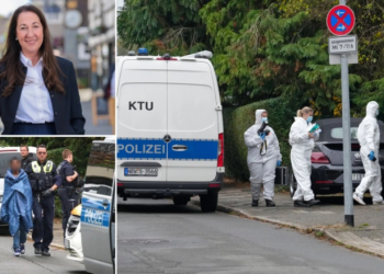 Detaje shqetësuese nga sulmi me thikë ndaj kryetari të bashkisë në Gjermani, dyshohet se autores është vajza e saj e adoptuar.