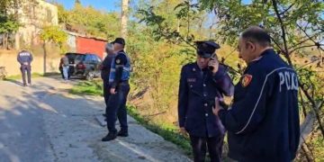 Djali zbardh incidentin tragjik: "Baba nuk më lejonte të hanim qetë, e ndjeva veten nën presion. Papritur, e mora thikën dhe…"