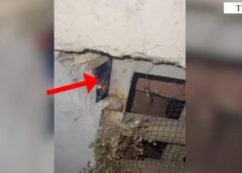 Dy individë arrestohen në Tiranë për shpërndarje të substancave narkotike në formë xhelatine. (Emrat)