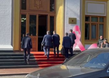 Fillon seanca plenare: ‘Drejtësia’ raportojnë sot në Kuvend, arrijnë Altin Dumani, Adnand Xholi dhe Klodian Braho.