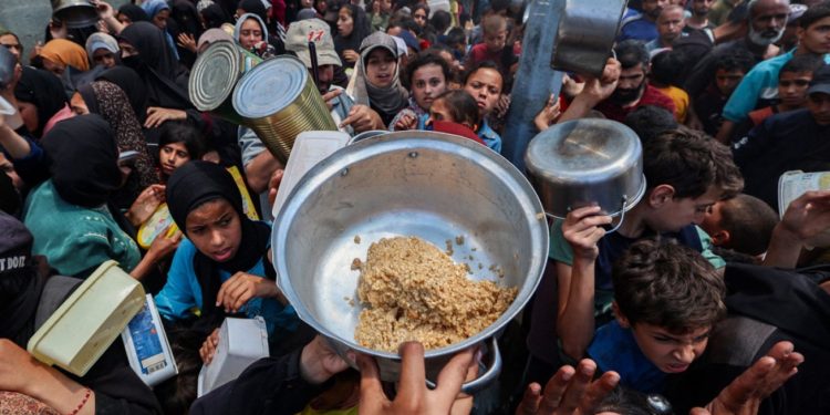 Gjashtëdhjetë mijë ton ushqim të gatshëm për transferim në Gaza, e cila do të mbulojë nevojat përtre muaj.