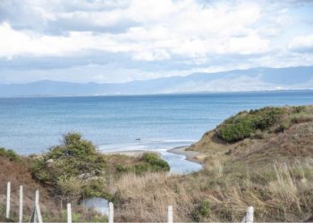 BIRN: ‘Shteti i Rrumit’ dhe skema e grabitjes së tokave në Durrës dhe Tiranë