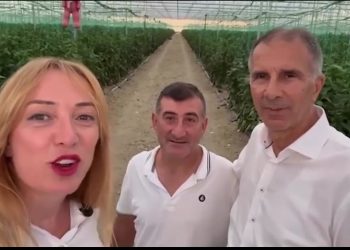 Intervista me OLAF, si u vodhën nga Frida Krifca 33 mln eurot e BE nga fondet e IPARD