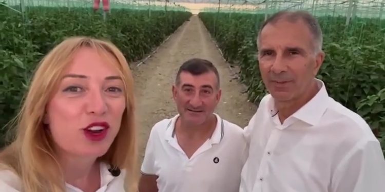 Intervista me OLAF, si u vodhën nga Frida Krifca 33 mln eurot e BE nga fondet e IPARD