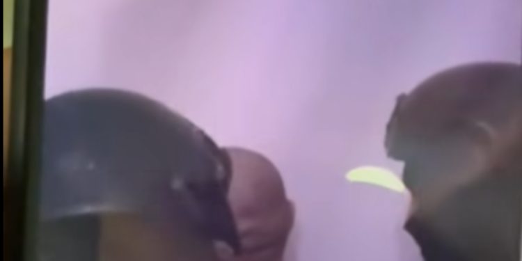 VIDEO/ Berisha publikon pamjet nga arrestimi i Aldo Avdylajt