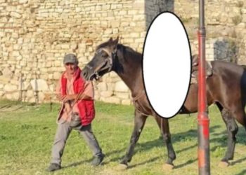 “Mos e prek kalin se është i acaruar sot”, Masakroi me thikë turistin në Berat, autori jep DETAJE nga ngjarja: Më ofendoi! Pas krimit shkova në banesë…