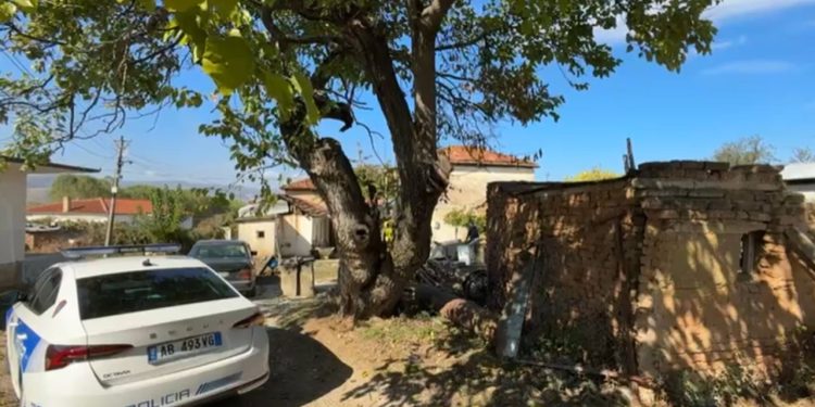 Incident i rëndë në Pogradec: Granata e Luftës së Dytë Botërore shpërthen, plagoset një burrë 49-vjeçar.