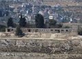 Izraeli expuls 32 aktivistë që assistuan palestinezët në mbledhjen e ullinjve në Bregun Perëndimor.