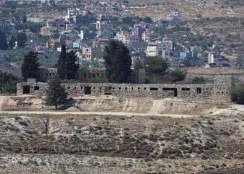 Izraeli expuls 32 aktivistë që assistuan palestinezët në mbledhjen e ullinjve në Bregun Perëndimor.