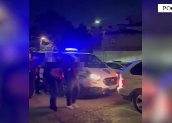 Katër të rinj arrestohen në Pogradec për tregtim droge, dy të tjerë shpallen në kërkim.