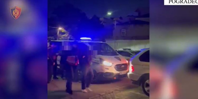 Katër të rinj arrestohen në Pogradec për tregtim droge, dy të tjerë shpallen në kërkim.