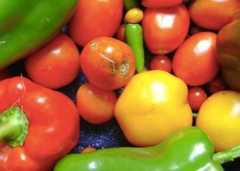 Kontrolli ushqimor, fermerët nuk mjaftohen më vetëm me literaturën; ekspertët këshillojnë për një ndryshim strategjik.