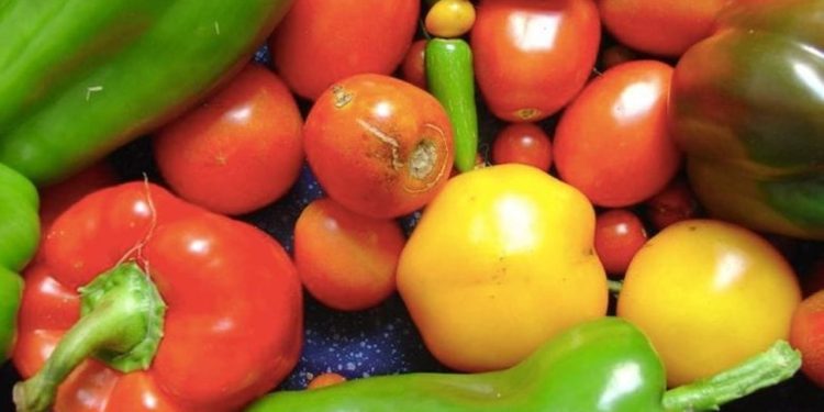 Kontrolli ushqimor, fermerët nuk mjaftohen më vetëm me literaturën; ekspertët këshillojnë për një ndryshim strategjik.