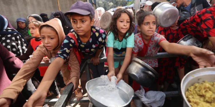 Kriza e urisë në Gaza vazhdon të jetë ‘katastrofike’, thotë drejtori i OBSH: Sasia e ushqimit mbetet e pamjaftueshme dhe uria vazhdon të përkeqësohet.