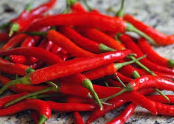 Kroacia bllokon 8 mijë kg speca të kuq djegës nga Divjaka për shkak të pesticideve të ndaluara.