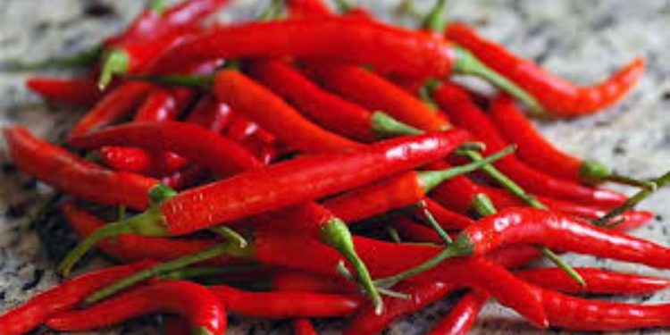 Kroacia bllokon 8 mijë kg speca të kuq djegës nga Divjaka për shkak të pesticideve të ndaluara.