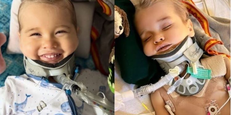 Kur mrekullia sfidon shkencën: një fëmijë 2-vjeçar ‘ringjallet’ dhe dërgon një mesazh për jetën