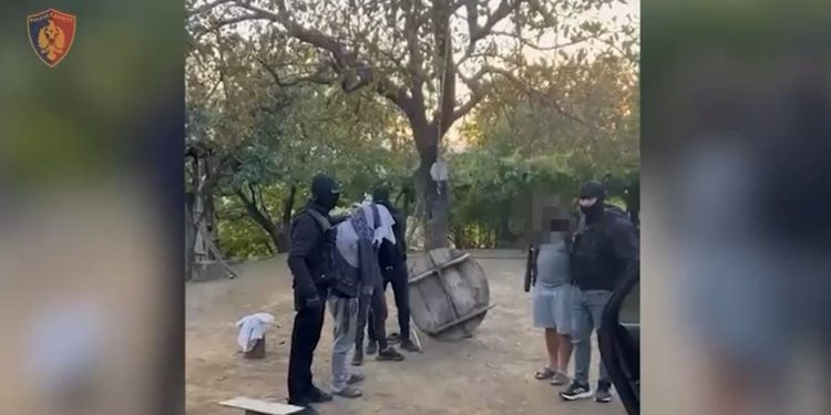 Më shumë se 40 kg drogë e sekuestruar në Mirditë, arrestohen dy vëllezër dhe një mik i tyre.