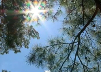 Moti për këtë të hënë: Diell i shoqëruar me vranësira kalimtare