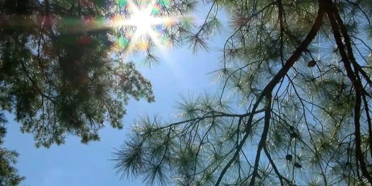 Moti për këtë të hënë: Diell i shoqëruar me vranësira kalimtare