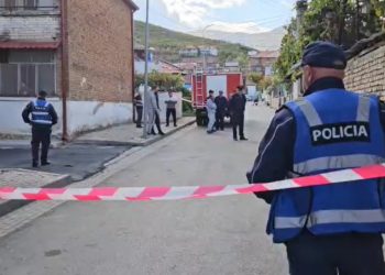 Nënë dhe bir vdesin në tragjedinë e zjarrit në banesën e tyre, zbulohet origjina e flakëve.