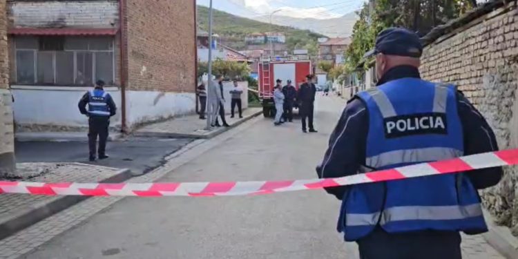 Nënë dhe bir vdesin në tragjedinë e zjarrit në banesën e tyre, zbulohet origjina e flakëve.