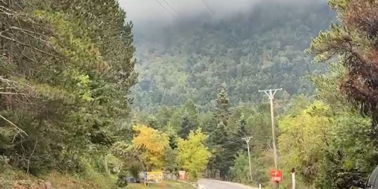 Nënë e bir nga Suedia gjejnë vetën pas disa orësh kërkimesh, humbasin në Llogara gjatë eksplorimeve në zonë