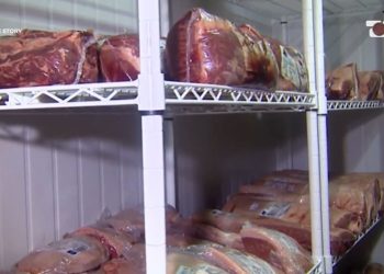 Ngarkesat e mishit të kontaminuar nga Brazili: Rritja e dyfishuar e importeve dhe sfidat me gjurmueshmërinë