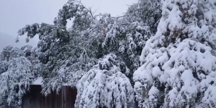 Personat e bllokuar në Bjeshkën e Javorrit për shkak të dëborës janë gjetur nga shërbimet e emergjencës.