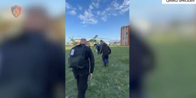 Shkodra: Më shumë se 4 mijë bimë kanabisi janë asgjësuar, ndërsa kryetarët e pesë fshatrave janë vënë nën hetim.