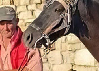 Të shpallur autor për vrasjen e turistit nga Tirana për një foto me kalin e tij, zbulohet historia e Kristo Memës, i dënuar për 25 vite në Greqi.