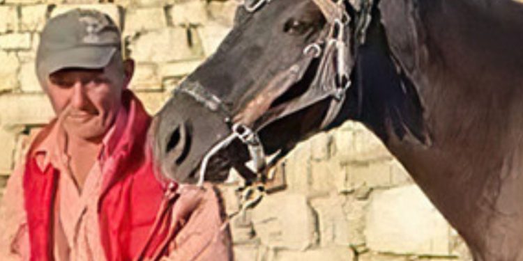 Të shpallur autor për vrasjen e turistit nga Tirana për një foto me kalin e tij, zbulohet historia e Kristo Memës, i dënuar për 25 vite në Greqi.