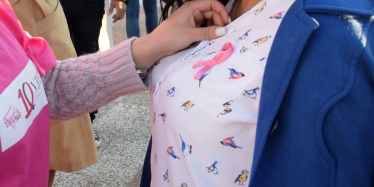 Tetori Rozë: 805 gra dhe 10 burra me kancer gjiri, 224 gra e vajza e humbën jetën vitin e kaluar.