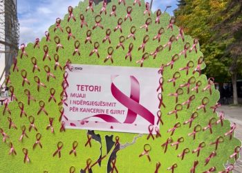 Tetori rozë: Korça nxit rritjen e kontrolleve mjekësore, 1000 ekzaminime janë realizuar gjatë vitit të kaluar