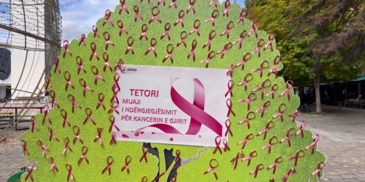 Tetori rozë: Korça nxit rritjen e kontrolleve mjekësore, 1000 ekzaminime janë realizuar gjatë vitit të kaluar