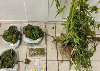 Tre shqiptarë arrestohen në Selanik për posedim droge dhe armësh.