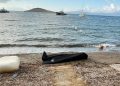Varka që transporte emigrantë mbytet pranë brigjeve të Bodrumit në Turqi, humbin jetën 14 persona.