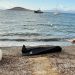 Varka që transporte emigrantë mbytet pranë brigjeve të Bodrumit në Turqi, humbin jetën 14 persona.