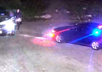 Video/ Arrestohet në flagrancë shqiptari në Nju Jork, pasi hodhi mbeturinat e biznesit të tij në park